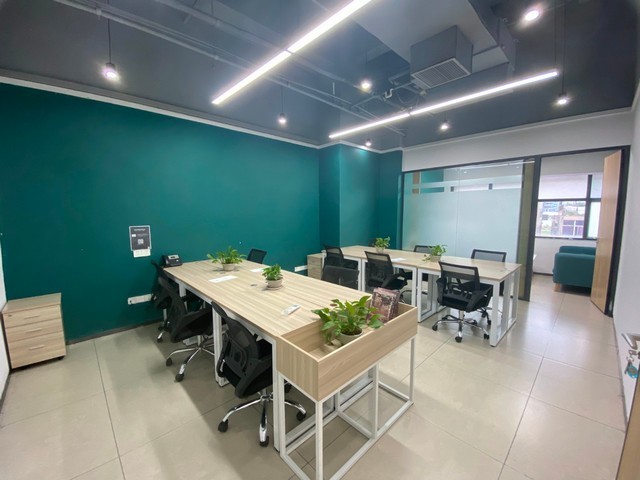 成人全脑开发培养